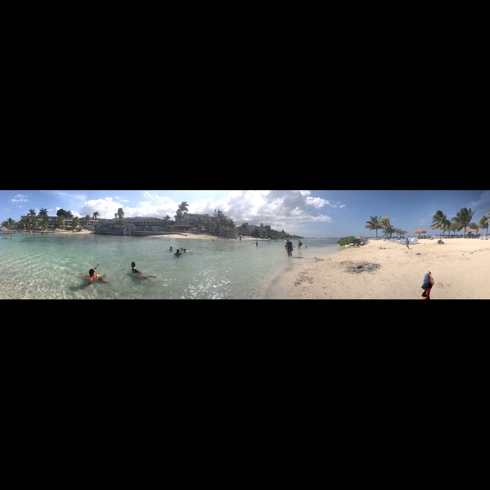 French expat in the USA